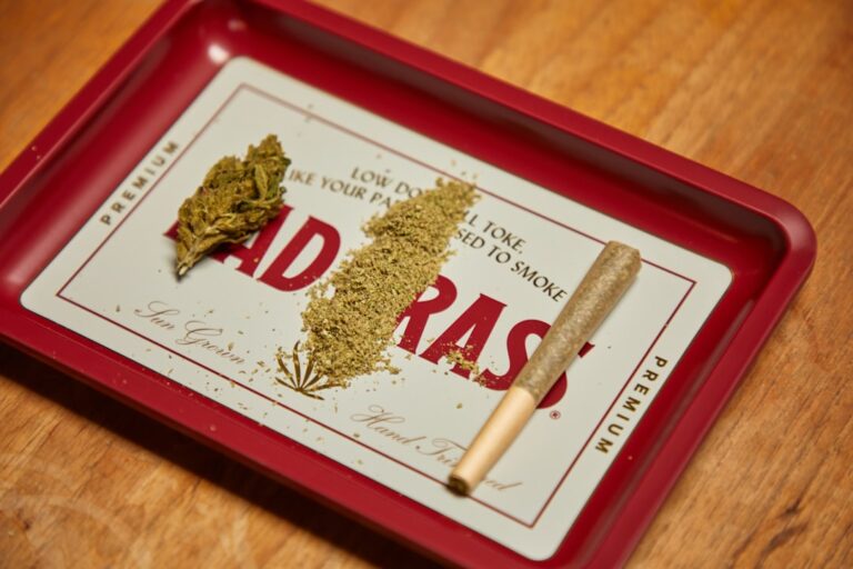 Cannabis Flos THC 17% CBD <1% (CanPoland) Shiskaberry - Medyczna Marihuana 3 Photo Cannabis buds