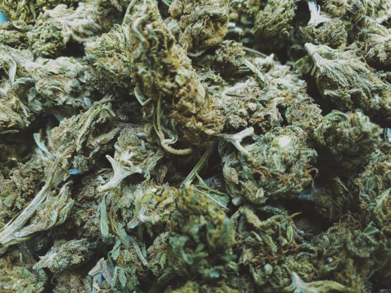 Photo Cannabis flower